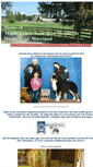 Mobile Screenshot of maplegroveaustralianshepherds.com